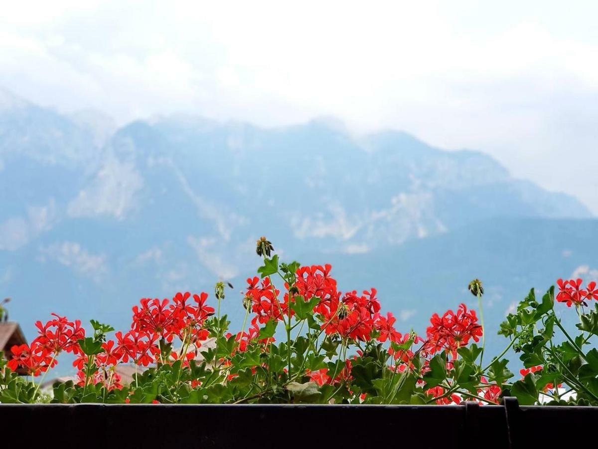 La Casa Di Michela - 120M2 In The Mountains With Fireplace & Garden Strigno 外观 照片